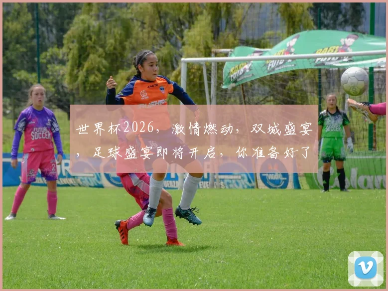 世界杯2026，激情燃动，双城盛宴，足球盛宴即将开启，你准备好了吗