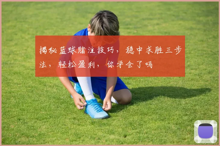 揭秘蓝球赌注技巧，稳中求胜三步法，轻松盈利，你学会了吗