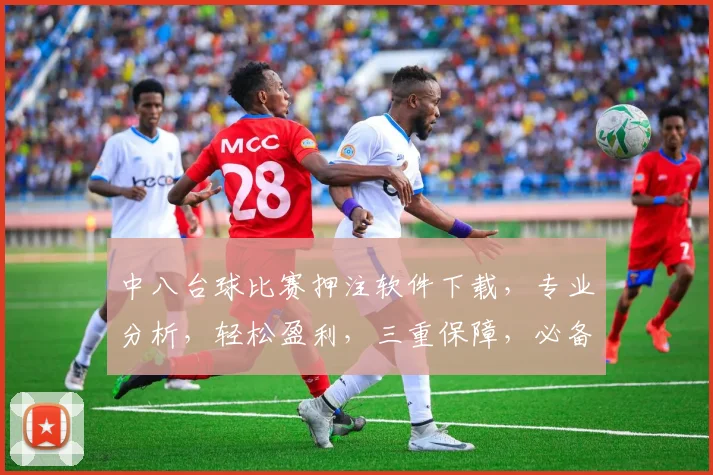 中八台球比赛押注软件下载，专业分析，轻松盈利，三重保障，必备神器，一键下载