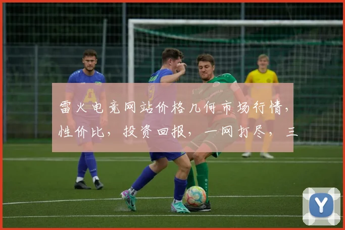 雷火电竞网站价格几何市场行情，性价比，投资回报，一网打尽，三重考量，不容错过