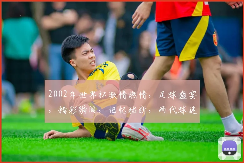 2002年世界杯激情燃情，足球盛宴，精彩瞬间，记忆犹新，两代球迷共赏。
