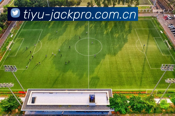 App 展示图